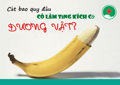 Cắt bao quy đầu có tăng kích thước không?